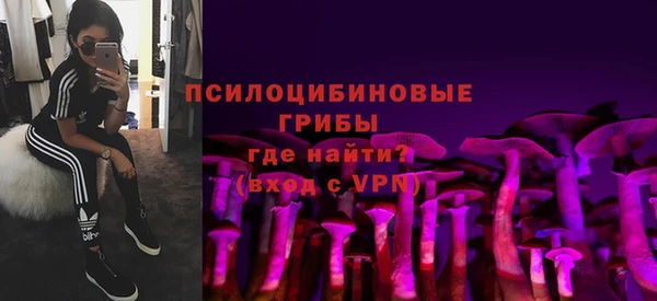 ALPHA PVP Заводоуковск