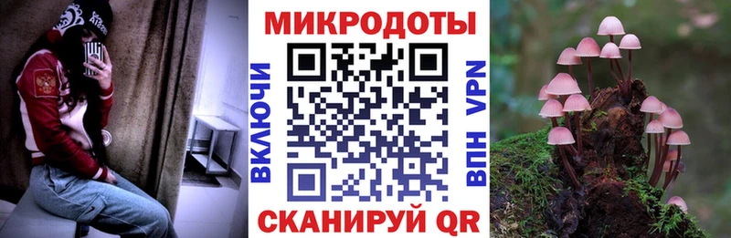 Купить закладки  Никольское  Псилоцибиновые грибы MAGIC MUSHROOMS 